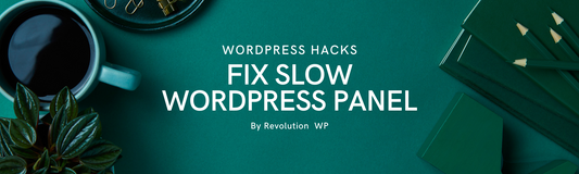 Fix Slow WordPress panel